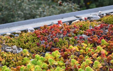 the cost of Sandbanks green roof installation