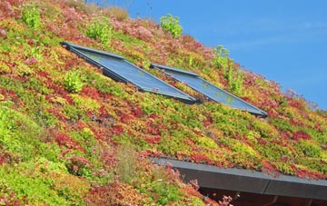 Sandbanks living roof systems