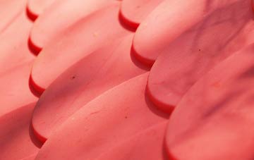 Sandbanks plastic roof costs